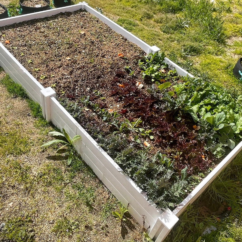 1/2 lb Rabbit Fertilizer - Picture 2 of 7